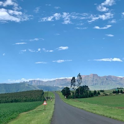 IBuccus's profile picture. academic, columnist