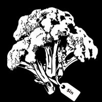 $in (@sin_infosec) 's Twitter Profile