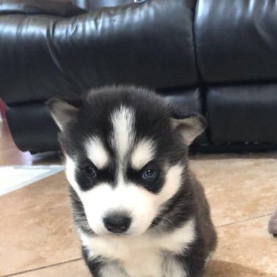 steeeeve07's profile picture. 