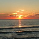 Niki Williamson - @nikiwilliamson3 - Twitter