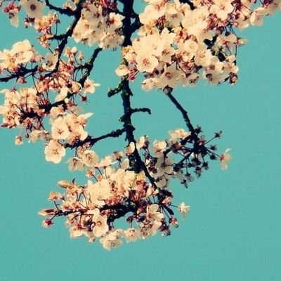 broinoibroi's profile picture. i retweet art
osu 🇧🇪