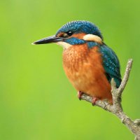 Wingate Wood (@wingate_wood) 's Twitter Profile Photo Wingate Wood (@wingate_wood) 's Twitter Profile Photo