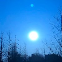 白かりんとう (@mutetime24h) 's Twitter Profile