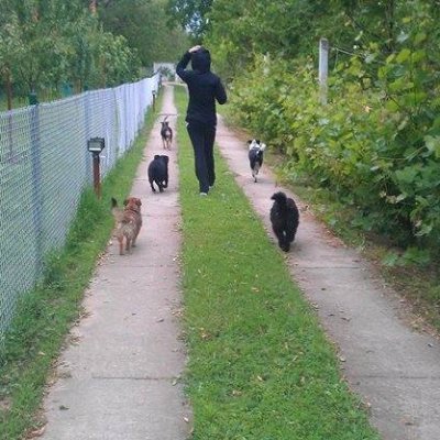 vojvodinabreg's profile picture. 