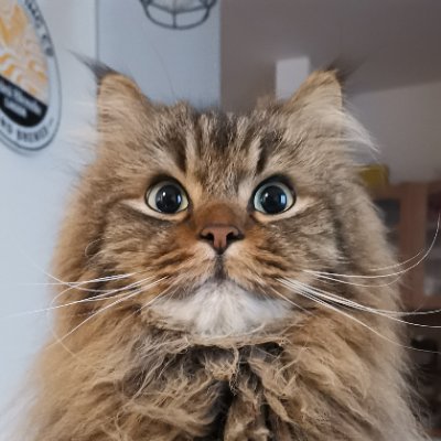 Kotetsu_THECAT's profile picture. とある建設会社のエンジニア。最近は機械学習成分多め。
Algorithmic Design→MR/VR→CV→ML,
AI Researcher in construction industry / Ph.D in Engineering (Architecture)