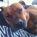 Parth Thaker - @Parf_ - Twitter