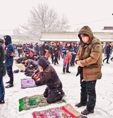 LtUkZLcOV4szlZj's profile picture. 🇾🇪🇾🇪🇾🇪🇾🇪