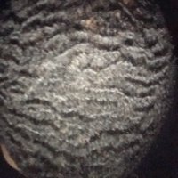 z (@rigby_johnson) 's Twitter Profile