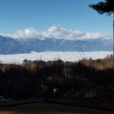 ndk2580's profile picture. @ndk2580 has been withheld in JP in response to a legal demand. https://t.co/8bsxKHNX66.