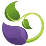 Coaching and consulting that helps your nonprofit raise money.