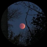 ' (@jxstdream) 's Twitter Profile