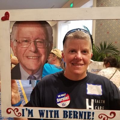 progressive organizer: campaign tech, data analysis, political strategy, VAN expert, feeling the Bern... Snyder-Hall Consulting