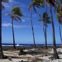 S - @Sam__Charles - Twitter