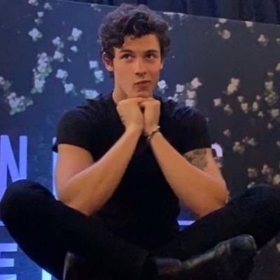 ❤️Amante a un ser tan especial llamado Shawn Mendes❤️