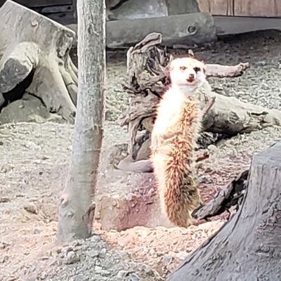 モテコウ 夢は終わらない よーみ Fullver 4 Sm Http T Co Qh17rkdgmn いい曲