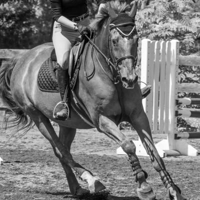 retired mediocre big eq rider. now even more mediocre low level hunter/jumper rider who sometimes trains nice horses