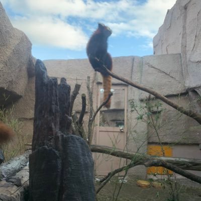 taguyu_it's profile picture. 業務で使用:C/C++ 2022秋FE取得！！2024春応用情報とるぞ〜