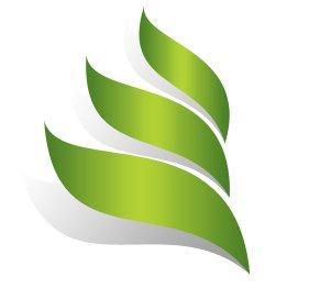 dmsgroupca's profile picture. Business Process Revolutionaries! Improving efficiencies and environmental practices in business.