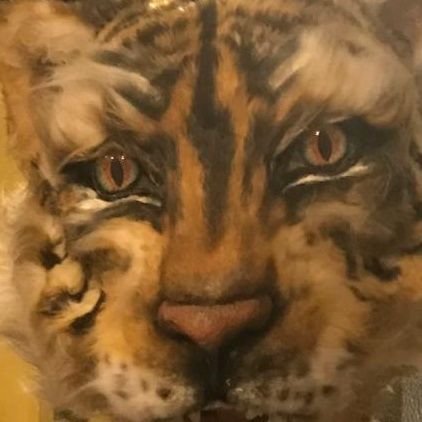 Sirius_Sage's profile picture. Sigma à peu près éduqué, catholique, provie, anti-islam, anti-gauche. Bjj blue belt. Deadlift 150kg. Toujours prêt pour la bagarre. Aussi sur #gettr