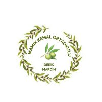 Derik Namık Kemal Ortaokulu (@deriknam) 's Twitter Profile Photo