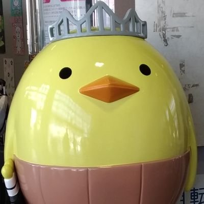 まよさんのプロフィール画像