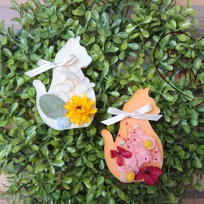 NyYlFKloCMxLYc5's profile picture. 一児のママ♡動物が大好き、保護犬1頭と保護猫3匹と賑やかに暮らしております、人生折り返しの年齢になってバイオリンを習いだしました♪やってみれば良かったなー、と後悔のない人生を送りたいです。ボタニカルキャンドル、アロマワックスサシェ、ハーバリウムなどを作ってミンネに掲載しております♪よろしくお願い致します♡