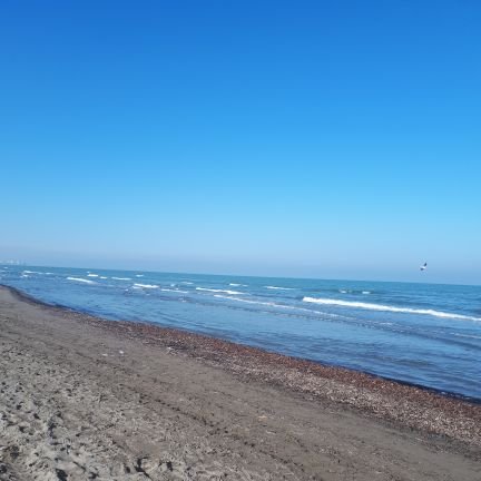 Nooshin98489211's profile picture. 