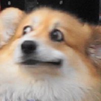 Cullan (@semicullan) 's Twitter Profile Photo