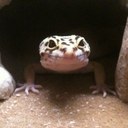 Tony Snider - @TS1066 - Twitter