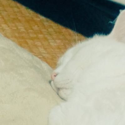 前田さんのプロフィール画像