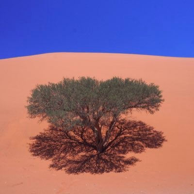 6OdDzhrqpN0hCQx's profile picture. 