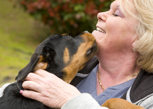 I HAVE BEEN BREEDING AND SHOWING ROTTWEILER'S FOR OVER 20 YEARS.
RECENTLY STARTED PAWS AND TAILS ANIMAL RESCUE A NON-PROFIT RESCUE GROUP.