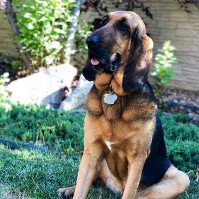 JenFallingStar's profile picture. 