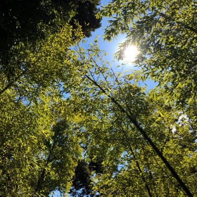 LPfOpA2f1R1ByEz's profile picture. 