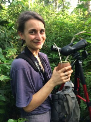 PhD student at #UNESP. Interested in ecological interactions in tropical #forest