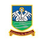 Annaduff GAA & Annaduff LGFA (@annaduffgaa) 's Twitter Profile