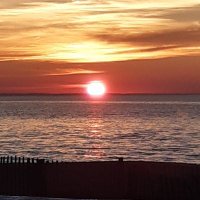 Frédéric Negrier (@fredericnegrier) 's Twitter Profile
