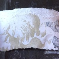 The Aleph (@thealephpress) 's Twitter Profile Photo