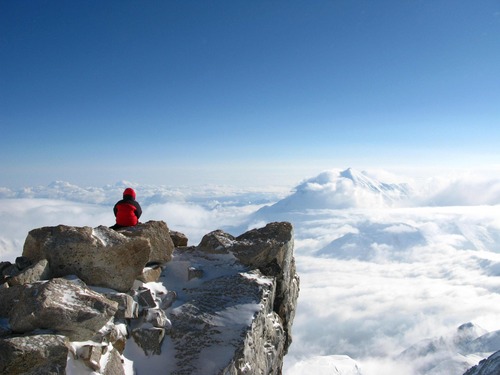 werzed's profile picture. 