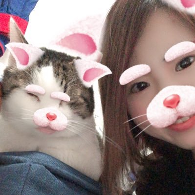 甘党猫派🐈🍭🐈🍭🐈🍭 これは猫。可愛い。