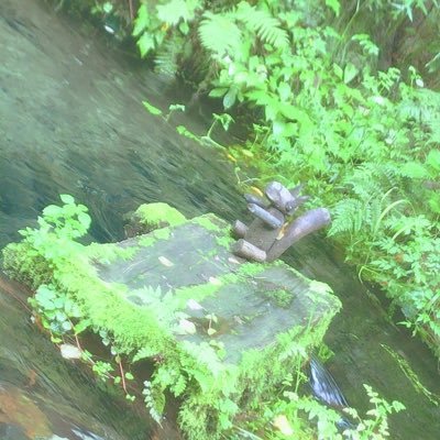 miku__tax_i_'s profile picture. QK CEO寄りの箱推し / 東大王 / 無言フォロー多いです   💎