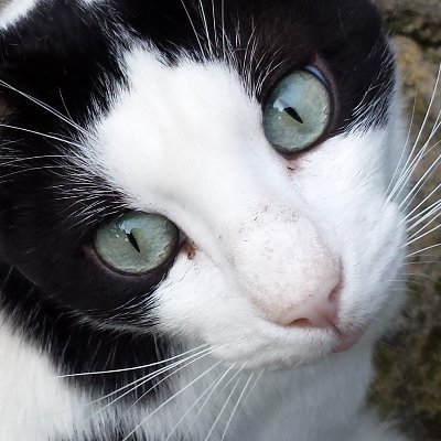 Abibinissalem's profile picture. Build Web Sites Paint Paintings