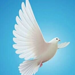 Yaecob_G's profile picture. 