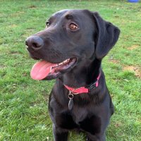 Wintz (@niwintz) 's Twitter Profile Photo