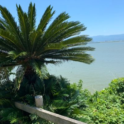 w8JcfDVmYffJsfc's profile picture. 裏