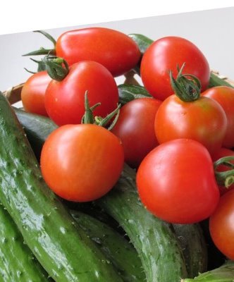 Yukinko_autarky's profile picture. 会社勤めが大好きな、自他共に認める社畜です🐔
住宅街の隅っこでニワトリさん10羽と暮らしています。

現在は週末農家を休業し、家庭菜園のみに状態です💦