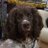 robharris73's profile image