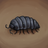 LittleWoodlouse