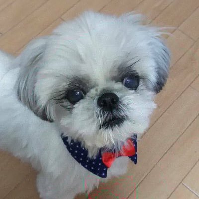 氷 月さんのプロフィール画像