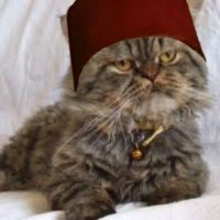 Şuursuz Ak-Tekir Paşa (Psikolojik Hayvan) (@suursuztekir) 's Twitter Profile Photo Şuursuz Ak-Tekir Paşa (Psikolojik Hayvan) (@suursuztekir) 's Twitter Profile Photo